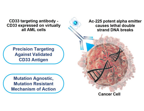 Actinium Pharmaceuticals publishes Actimab-A + CLAG-M trial results for relapsed/refractory AML in Leukemia