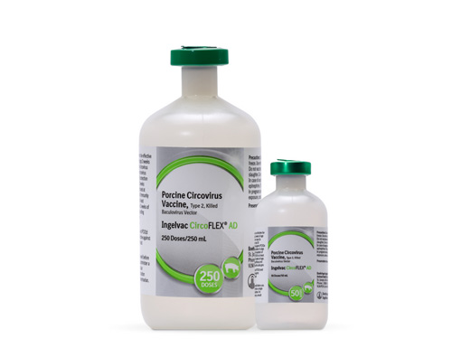Boehringer-Ingelheim_5092025 image Boehringer Ingelheim launches swine vaccine with advanced protection against Porcine Circovirus Type 2 in the U.S