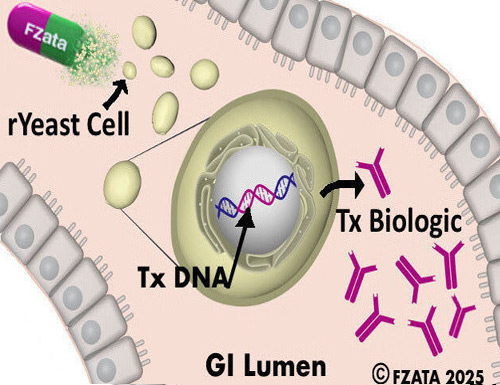 Fzata FZ002 recombinant