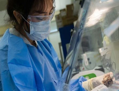 Sobran_18062025 image Enhancing Preclinical Research Support, SoBran, Inc. Expands BioScience Services to Los Angeles