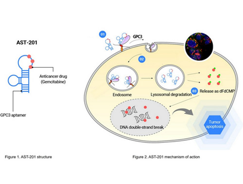 AST-201 structure & mechanism of action 