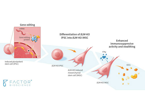 Factor Bioscience to Deliver Seven Presentations at the American Society of Gene & Cell Therapy