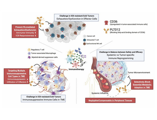 Pilatus Biosciences Inc. earns FDA Orphan Drug Designation for PLT012, targeting liver and intrahepatic bile duct cancer