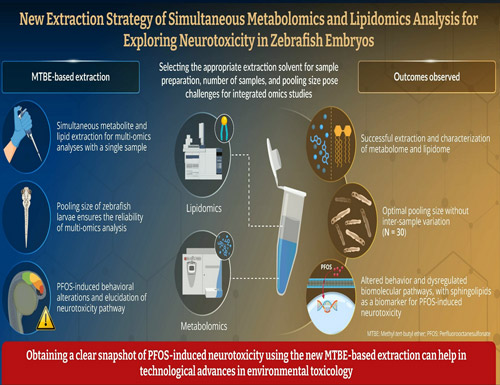 SeoulTech researchers unveil a novel approach to understanding PFOS-induced neurotoxicity, advancing environmental health studies