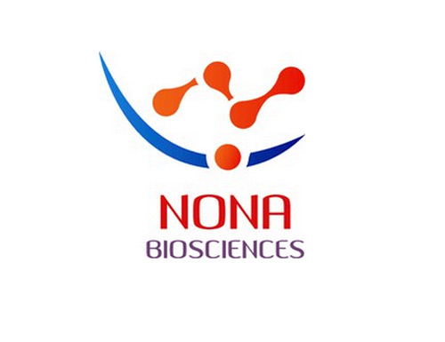 Nona Biosciences Updates on ADC Collaboration with BeiGene and DualityBio